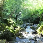 House By The Stream - Happy