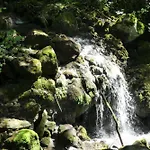 House By The Stream - Happy * Avce
