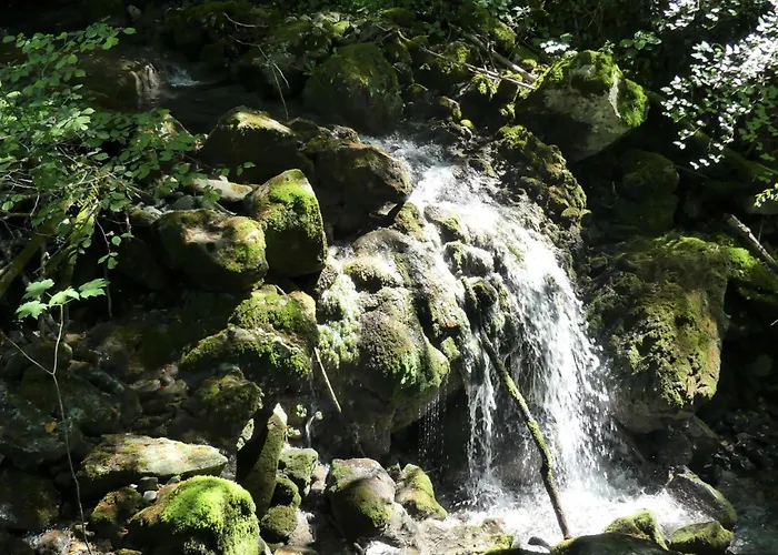 House By The Stream - Happy * Avce